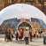 image Aluminum Doors, Contemporary tents, Dome Marquee, Festivals, Hire, Poland, Transparent Front, Wroclaw, freedome-300, wroclaw-non-stop